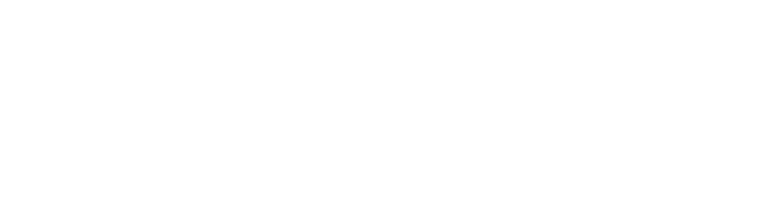 Newton Waterproofing Logo