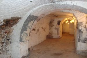 Damp Vaults in a Grade 2 Listed Basement